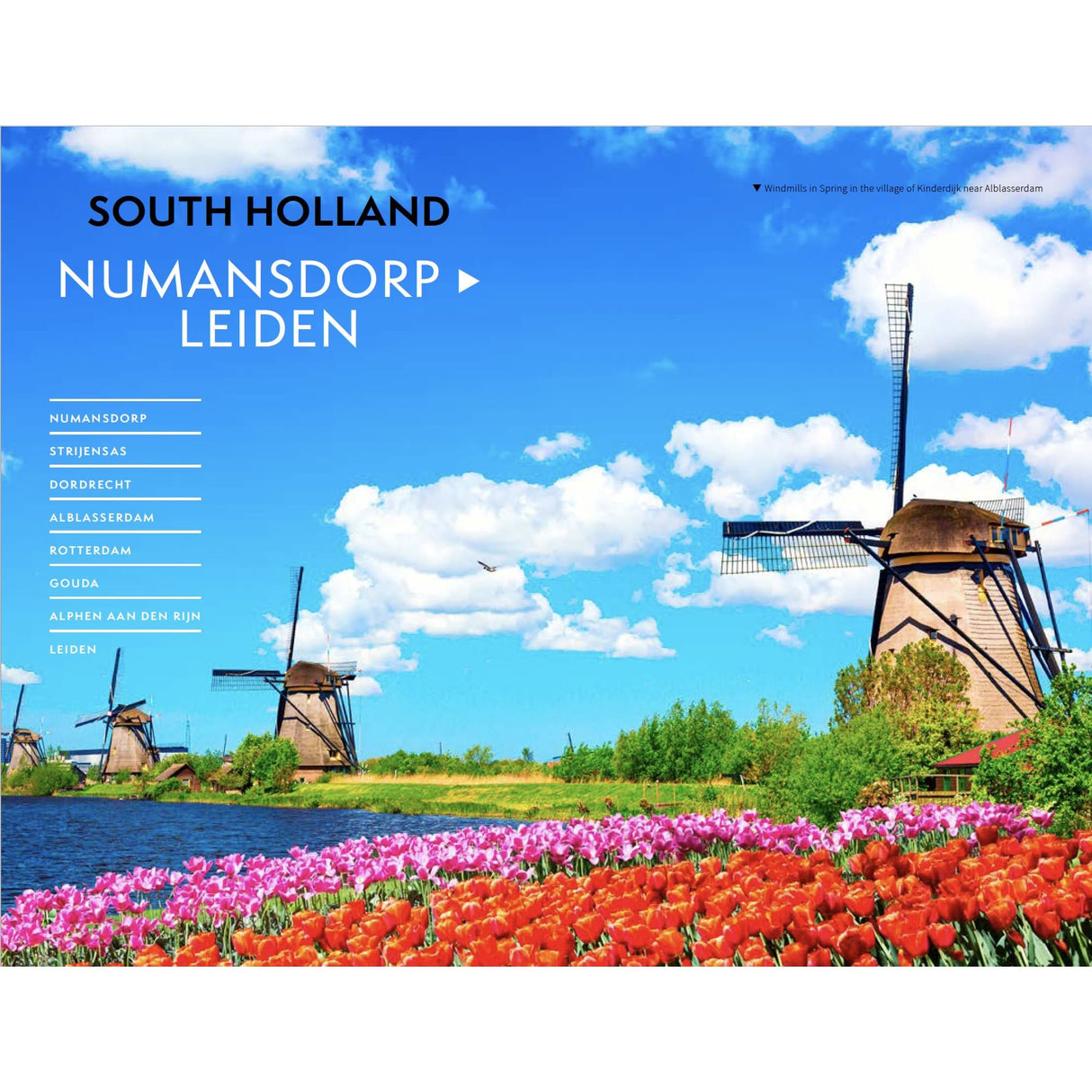 A vibrant field of red and pink tulips by a canal with Dutch windmills under blue skies. The Adlard Coles Shore Guide: The Netherlands lists South Holland destinations ideal for a sailing trip along the Standing Mast Route.