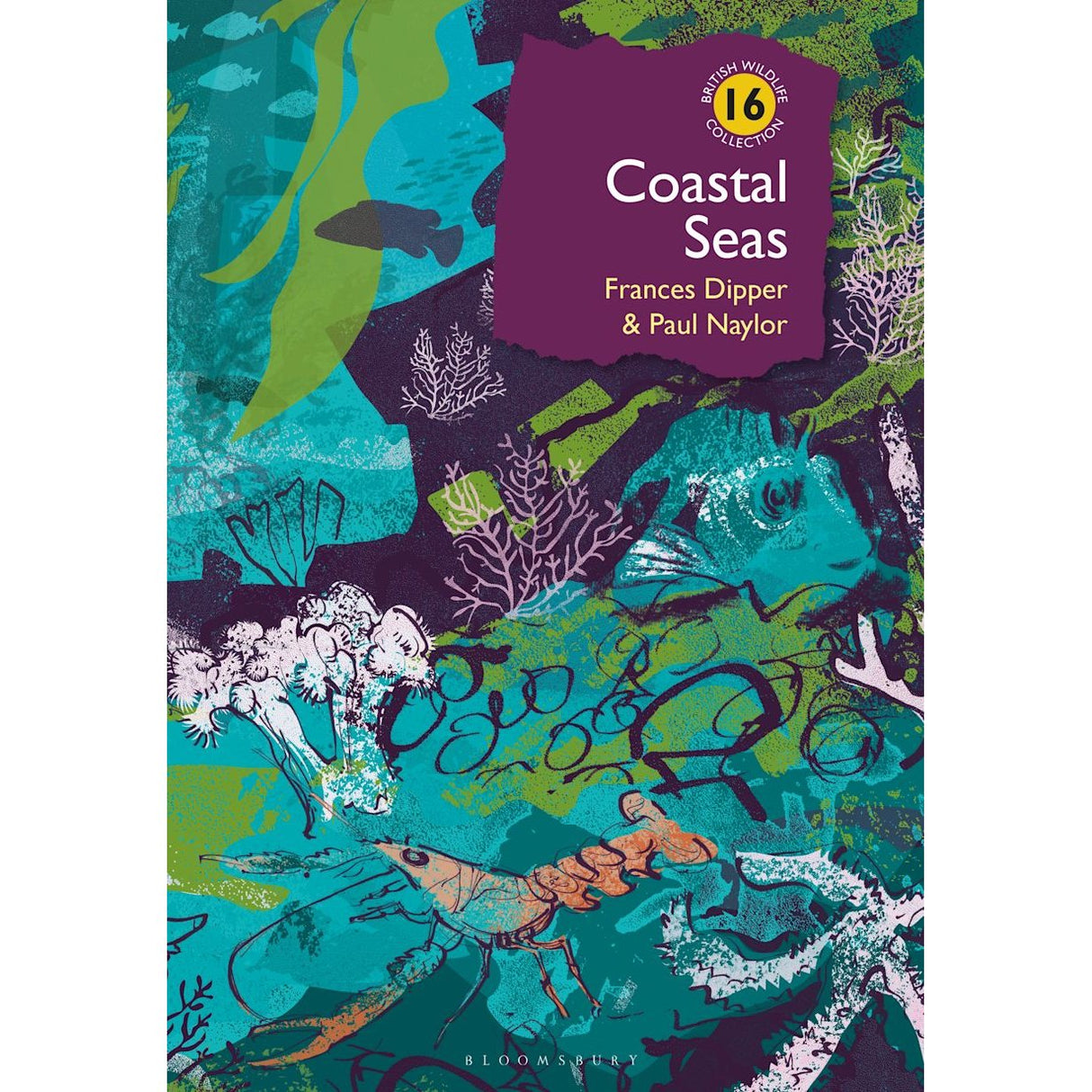 Book cover of *Coastal Seas* by Bloomsbury Wildlife, showcasing vivid underwater illustrations in blue, green, and purple hues—highlighting the rich marine life and diverse coastal habitats found throughout the British Isles.