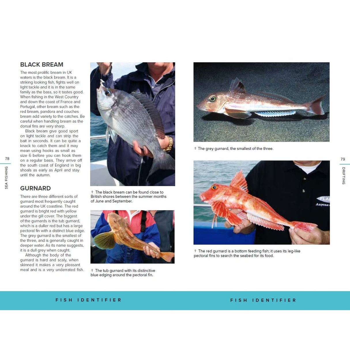 A page from "Sea Fishing" by Adlard Coles displays photos, descriptions, features, habitats of black bream and gurnard, images of anglers with their catch, plus boat fishing tips.