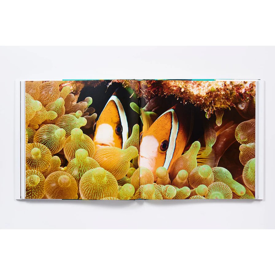 An open copy of "The Life and Love of the Sea" by Abrams Books displays a vivid underwater photograph, capturing two clownfish swimming among green and yellow sea anemones.