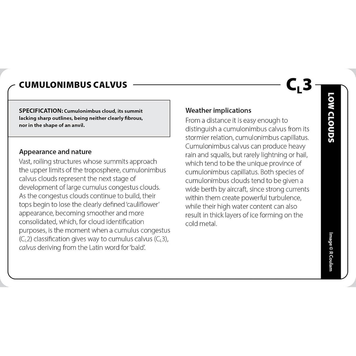 Educational flashcard from The Cloud Deck titled “Cumulonimbus Calvus” (C_L3) detailing the appearance, nature, and weather implications of this specific cloud formation for improved cloud identification.