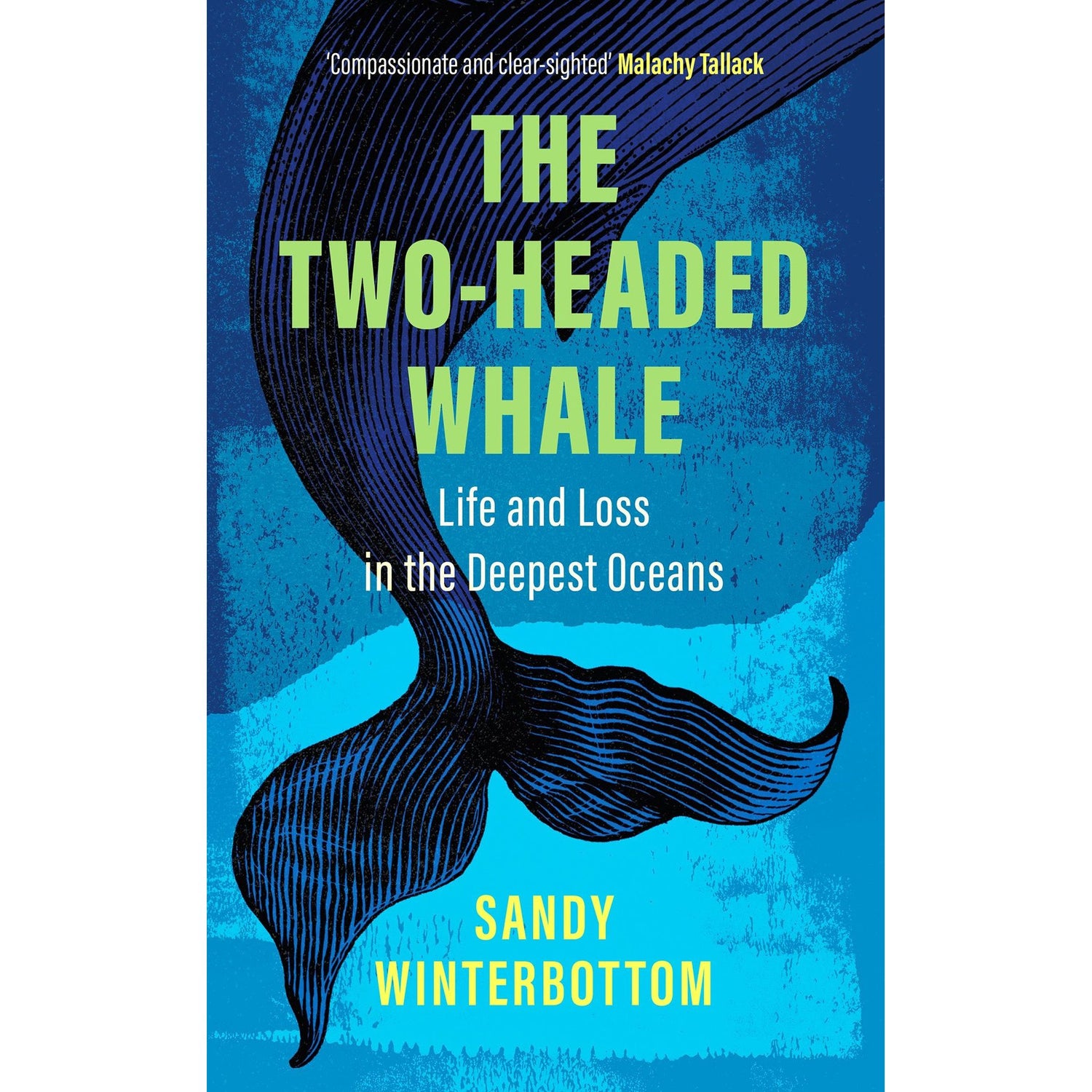Sandy Winterbottom’s "The Two-Headed Whale," published by Birlinn, features a stylized whale tail on its cover against a rich blue and teal background, evoking Antarctic voyages and industrial-scale whaling.