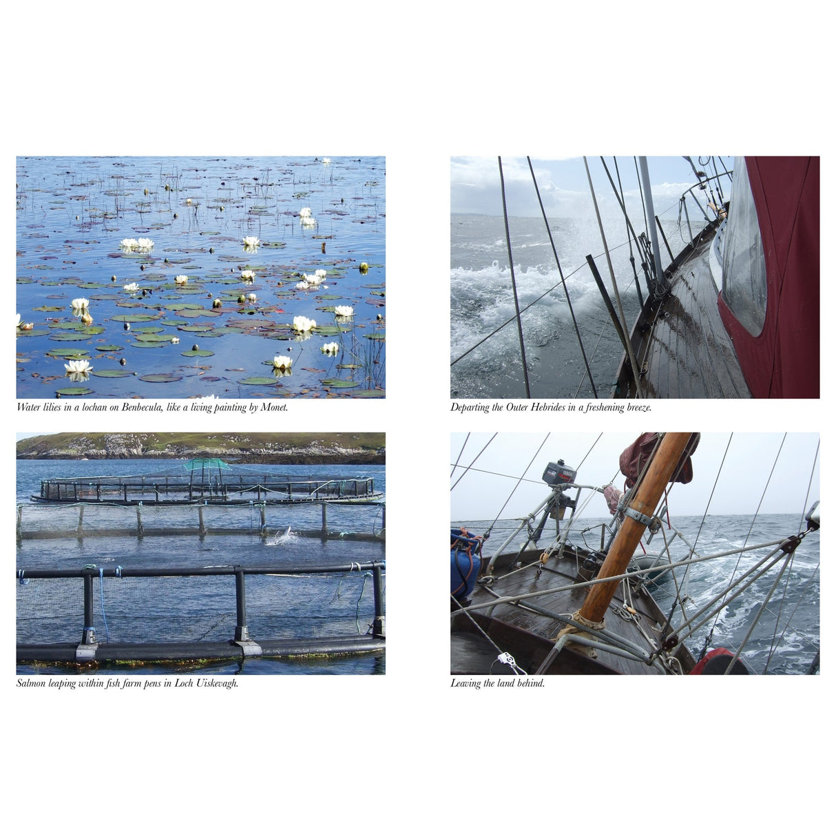 A collage of four images from "Wild Call" by Fernhurst Books: water lilies on a calm lake, a boat sailing Scotland’s Western Isles, salmon leaping in a fish farm, and a sailboat leaving St Kilda—each with a descriptive caption.