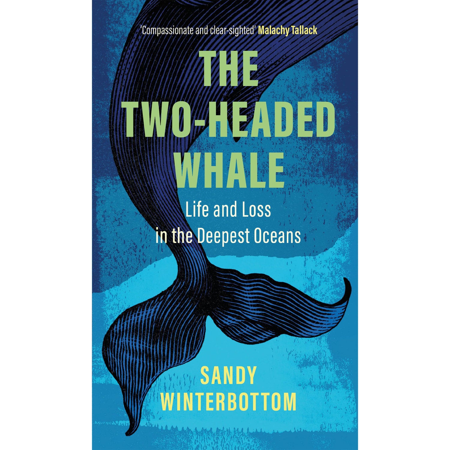 Cover of "The Two-Headed Whale" by Sandy Winterbottom (Brand: Birlinn) features an illustrated whale's tail over a blue background like the Southern Oceans, with Malachy Tallack's quote: "Compassionate and clear-sighted." Subheading: "Life and Loss in the Deepest Oceans.