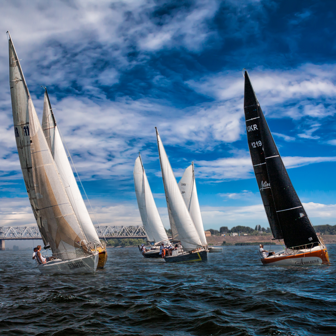 A group of sailboats with white and black sails race on a body of water under a partly cloudy blue sky. A bridge and a distant shoreline with trees are visible in the background.