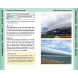 Reeds Cloud Handbook by Reeds offers outdoor enthusiasts a detailed guide on identifying shelf and roll clouds. Learn about their differences in height, types, and locations with a background image showcasing a green landscape under a shelf cloud to enhance weather prediction skills.