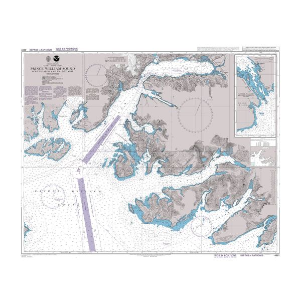 Product image of Admiralty Chart 4981 | Prince William Sound Port Fidalgo and Valdez Arm, featuring navigational markings, depth soundings, and coastal features, essential for safe marine navigation. It could be displayed as an art piece or used for navigation on a boat or ship.