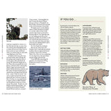 The magazine spread from Adlard Coles' "Under Wide and Starry Skies" showcases North American wildlife, with a bald eagle on the left and a grizzly bear illustration at the bottom right. It includes insights into birdwatching, whale watching, travel tips for remote areas, and regional weather information.