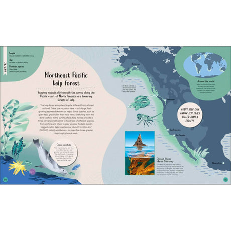 Dorling Kindersley's "Ocean" illustrates the Northeast Pacific kelp forest, showcasing marine life and a sea lion with a map. It provides insights into giant kelp ecosystems, their global locations, plus a climate change sidebar—an invaluable resource for marine biologists studying diverse habitats.