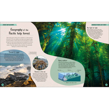 Dorling Kindersley's "Ocean" features an informative panel on Pacific kelp forests, exploring marine habitats with images of underwater and rocky kelp. It includes text on kelp geography, survival, and ocean seasons, plus a diagram illustrating the rocky seafloor and kelp life cycle.