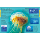A vibrant two-page spread from DK’s "Ocean: A Children's Encyclopedia" features images and facts about jellyfish, including a large tentacled jellyfish, diagrams, and text on their traits, movement, and various species.