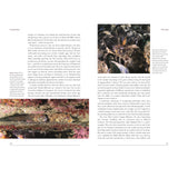 A two-page spread from Coastal Seas by Bloomsbury Wildlife showcases the rich marine diversity of the British Isles. The left page presents text alongside two images of small underwater fish resting on rocks, highlighting intriguing aspects of local sea life. On the right, additional text is paired with a striking full-page photograph of a brown fish facing the camera amid coral—offering an engaging insight into British coastal habitats.