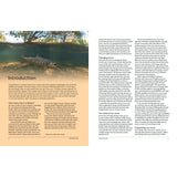 A two-page spread from "The Great British River" by Bloomsbury shows an underwater fish photo above an intro on UK rivers’ value, while the right page explores changes to rivers and details about freshwater habitats.