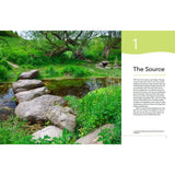 A small stream winds through lush green grass and trees, forming a peaceful freshwater habitat. Large stepping stones cross the water, with sunlight filtering through. On the right, text reads “The Great British River” by Bloomsbury with a description.