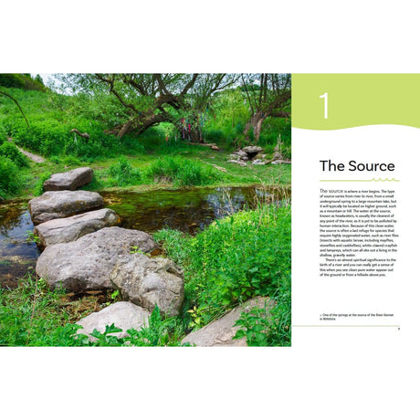 A small stream winds through lush green grass and trees, forming a peaceful freshwater habitat. Large stepping stones cross the water, with sunlight filtering through. On the right, text reads “The Great British River” by Bloomsbury with a description.