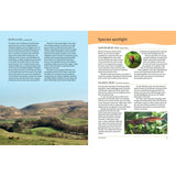 A magazine spread for Bloomsbury's "The Great British River" shows lush hills and sky on the left, with articles on British rivers and a Species Spotlight featuring river wildlife such as a tick and newt on the right.