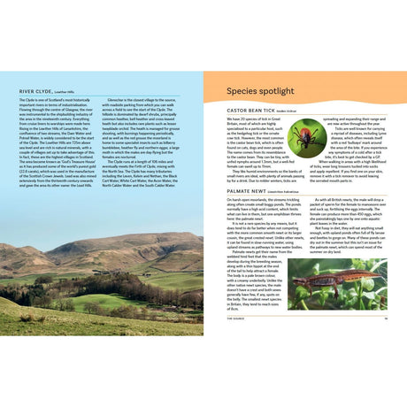 A magazine spread for Bloomsbury's "The Great British River" shows lush hills and sky on the left, with articles on British rivers and a Species Spotlight featuring river wildlife such as a tick and newt on the right.