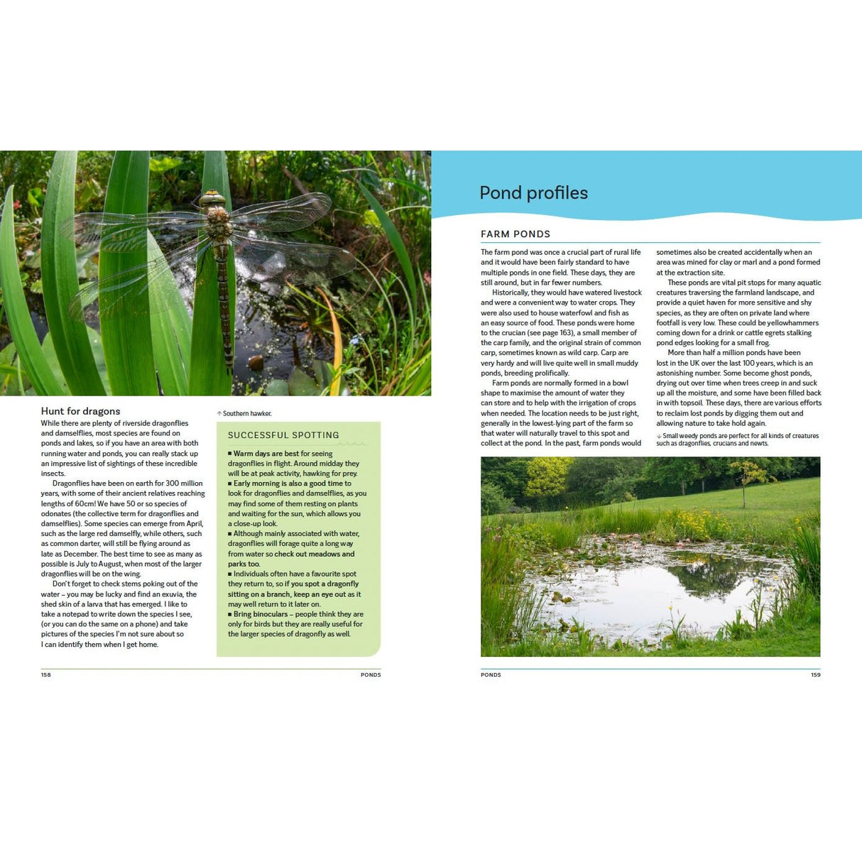A spread from "The Great British River" by Bloomsbury shows a close-up photo of a dragonfly on grass, text about dragonflies and freshwater habitats, and an image of a pond bordered by greenery on the right page.