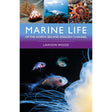 Book cover for Marine Life of the North Sea and English Channel from Bloomsbury Wildlife, showcasing breathtaking underwater photography of North Sea marine life—featuring fish, a jellyfish, a snail, a seal, and a starfish—making it an essential identification guide for marine enthusiasts and explorers.