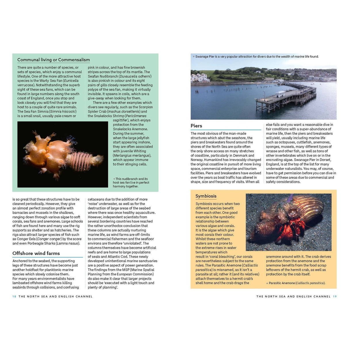 The Bloomsbury Wildlife publication *Marine Life of the North Sea and English Channel* showcases captivating underwater photography—such as images of offshore wind farm structures, marine worms, piers extending into water, and a crab surrounded by sea anemones—accompanied by informative text blocks. Ideal for enthusiasts seeking to explore North Sea marine life or in need of a thorough identification guide.
