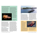 The Bloomsbury Wildlife publication *Marine Life of the North Sea and English Channel* showcases captivating underwater photography—such as images of offshore wind farm structures, marine worms, piers extending into water, and a crab surrounded by sea anemones—accompanied by informative text blocks. Ideal for enthusiasts seeking to explore North Sea marine life or in need of a thorough identification guide.