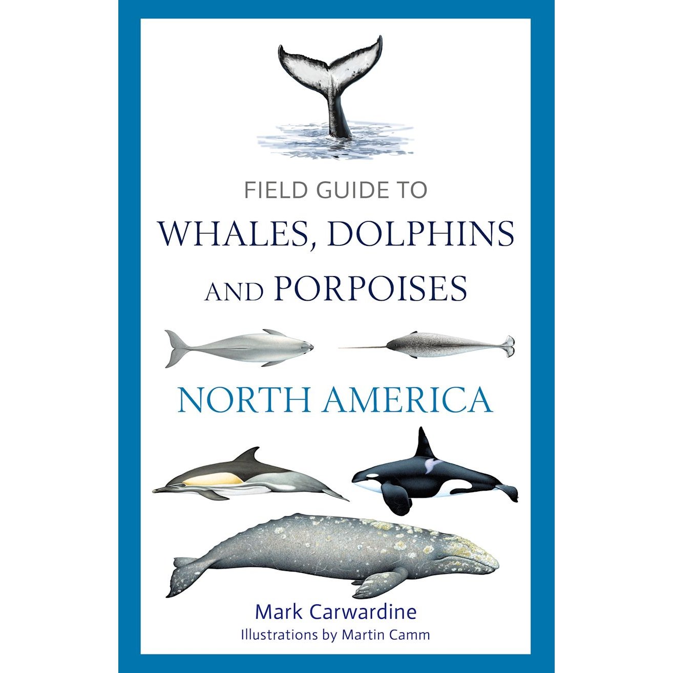 The book cover for "Field Guide to Whales, Dolphins and Porpoises of North America" by Mark Carwardine, illustrated by Martin Camm, showcases various marine mammals and a whale tail. Published by Bloomsbury Wildlife, it serves as an essential identification and whale watching guide for cetacean enthusiasts.