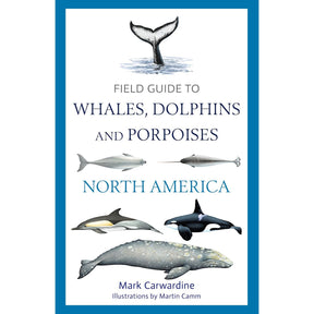 The book cover for "Field Guide to Whales, Dolphins and Porpoises of North America" by Mark Carwardine, illustrated by Martin Camm, showcases various marine mammals and a whale tail. Published by Bloomsbury Wildlife, it serves as an essential identification and whale watching guide for cetacean enthusiasts.
