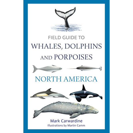 The book cover for "Field Guide to Whales, Dolphins and Porpoises of North America" by Mark Carwardine, illustrated by Martin Camm, showcases various marine mammals and a whale tail. Published by Bloomsbury Wildlife, it serves as an essential identification and whale watching guide for cetacean enthusiasts.