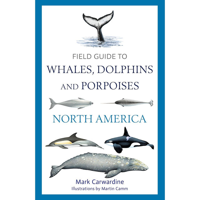 The book cover for "Field Guide to Whales, Dolphins and Porpoises of North America" by Mark Carwardine, illustrated by Martin Camm, showcases various marine mammals and a whale tail. Published by Bloomsbury Wildlife, it serves as an essential identification and whale watching guide for cetacean enthusiasts.