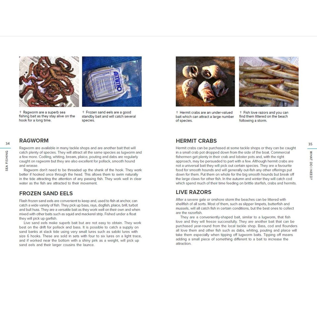 Four photos illustrate sea fishing bait—ragworms, frozen sand eels, hermit crabs in shells, and live razors—with captions. Text from Adlard Coles' Sea Fishing gives tips beside the images, creating a useful angling guide.