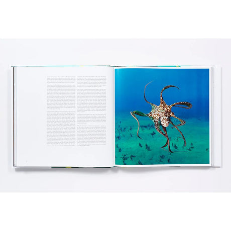 An open copy of The Life and Love of the Sea by Abrams Books displays text on the left page and, on the right, a captivating underwater photograph of an octopus swimming against a vibrant blue sea backdrop.