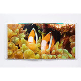 An open copy of "The Life and Love of the Sea" by Abrams Books displays a vivid underwater photograph, capturing two clownfish swimming among green and yellow sea anemones.