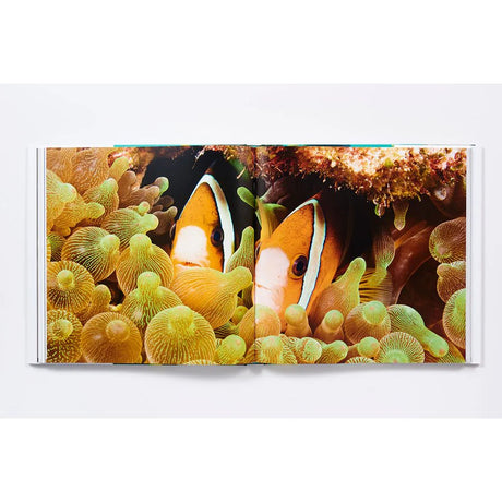 An open copy of "The Life and Love of the Sea" by Abrams Books displays a vivid underwater photograph, capturing two clownfish swimming among green and yellow sea anemones.