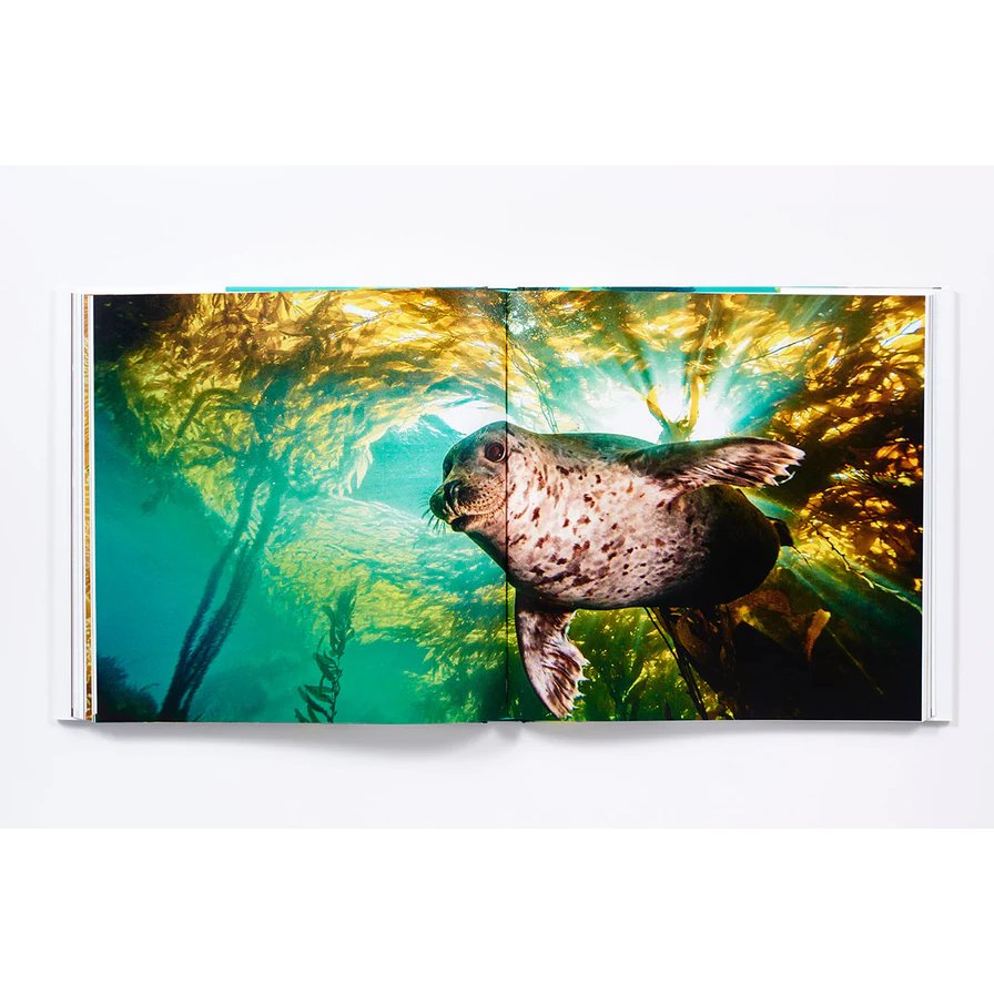 An open book—The Life and Love of the Sea by Abrams Books—displays a vibrant underwater photo of a seal swimming among green kelp, illuminated by sunlight filtering through the water—a captivating example of underwater photography that celebrates marine wildlife.