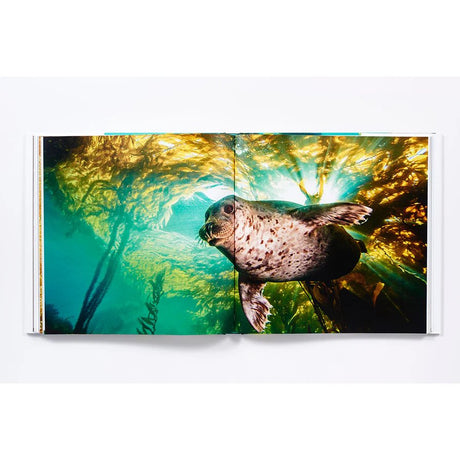 An open book—The Life and Love of the Sea by Abrams Books—displays a vibrant underwater photo of a seal swimming among green kelp, illuminated by sunlight filtering through the water—a captivating example of underwater photography that celebrates marine wildlife.