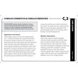 The Cloud Deck educational reference card identifying Cumulus congestus and Cumulus mediocris cloud formations, detailing their appearance, specifications, and weather implications.