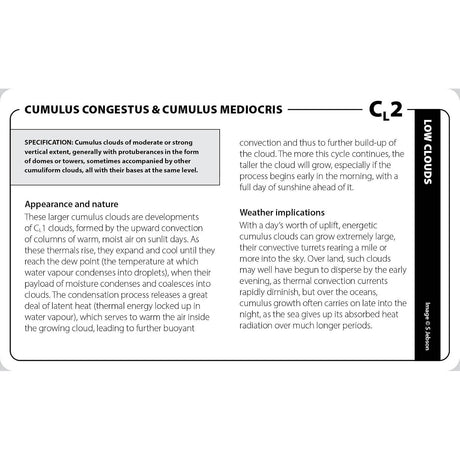 The Cloud Deck educational reference card identifying Cumulus congestus and Cumulus mediocris cloud formations, detailing their appearance, specifications, and weather implications.