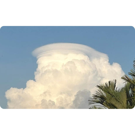 A large, white cumulus cloud with a flat, disc-shaped cap cloud resting on top, featured in The Cloud Deck against a clear blue sky.