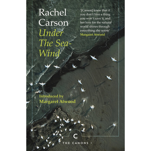 Book cover for Under the Sea-Wind by Rachel Carson, featuring an aerial view of waves meeting a shoreline and a flock of birds, with an introduction and pull quote by Margaret Atwood.