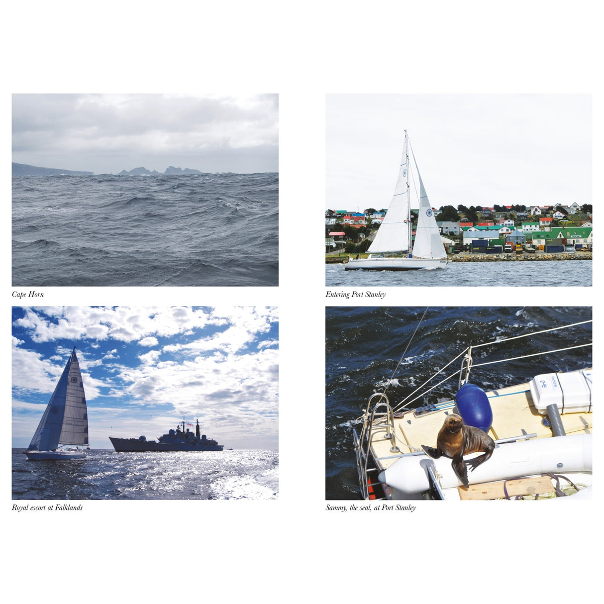 A collage of four photos—rough seas by Cape Horn, a sailboat at Port Stanley, a sailboat near a naval ship in the Falklands, and a sea lion on a boat—evoking "First Indian" by Fernhurst Books about Commander Dilip Donde’s solo voyage.