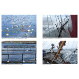 A collage of four images from "Wild Call" by Fernhurst Books: water lilies on a calm lake, a boat sailing Scotland’s Western Isles, salmon leaping in a fish farm, and a sailboat leaving St Kilda—each with a descriptive caption.
