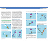 Tactics Made Simple by Fernhurst Books is a two-page guide using diagrams and text to explain advanced asymmetric spinnaker racing tactics, with colored boats and arrows showing positions, wind direction, and danger zones.