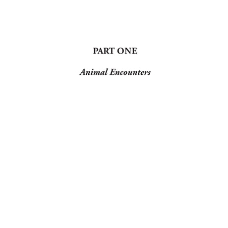 Text on a white page reads: "PART ONE" and, below it in italics, "Animal Encounters." In Fernhurst Books’ Amazing Diving Stories, this section opens with divers recounting unforgettable wildlife moments.