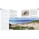 The Coastwise book from Fernhurst Books features sandy dunes with grasses, a beach and ocean backdrop, and an inset of marram grass in sand at the top right. Text columns about sand dunes are included.