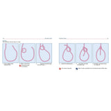 The Knot Pack by Fernhurst Books offers a step-by-step illustrated guide for tying a bowline knot—learn to make a loop, thread the end, pull it tight, and see the finished result—perfect for sailing beginners.