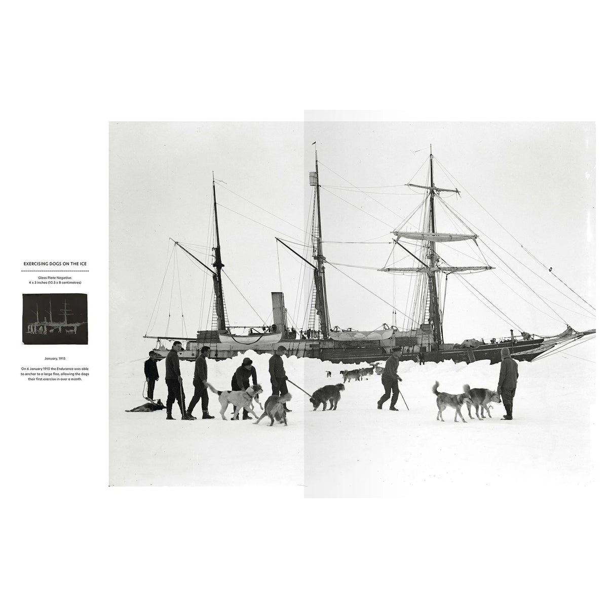 In The Endurance Photographs, a black and white Frank Hurley image shows crew members exercising sled dogs on an ice floe next to the Endurance, with descriptive text captions to the left.