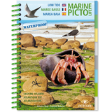 Uncover the wonders of the "Pictolife Low-Tide Eastern Atlantic" from Pictolife Marine Guides, a waterproof book cover ideal for the tide pool enthusiast. It features captivating images of seagulls, a crab in its shell, rocks, and seaweed on a beach, along with translations of "low tide" in English, French, and Spanish accompanied by unique regional references.