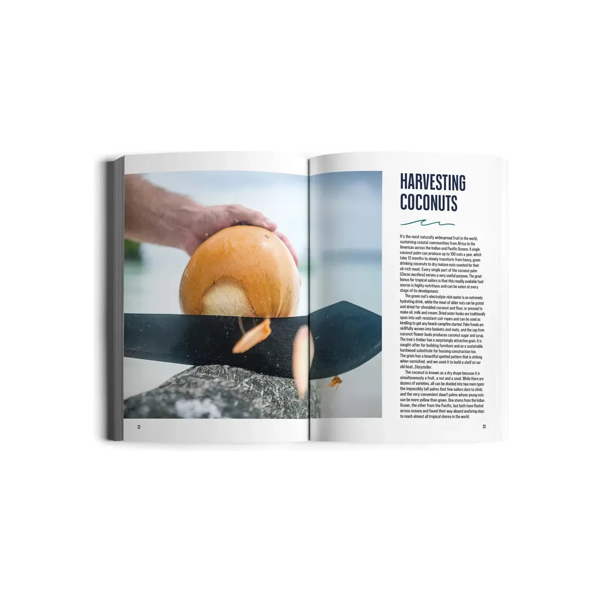 An open magazine from Exploring Eden Media's "The Hunter & The Gatherer" series features an article titled "Harvesting Coconuts." On the left page, a hand is depicted cutting a coconut with a machete, while the right page, ideal for ocean-loving foodies, contains text. The blurred background conveys an outdoor setting.