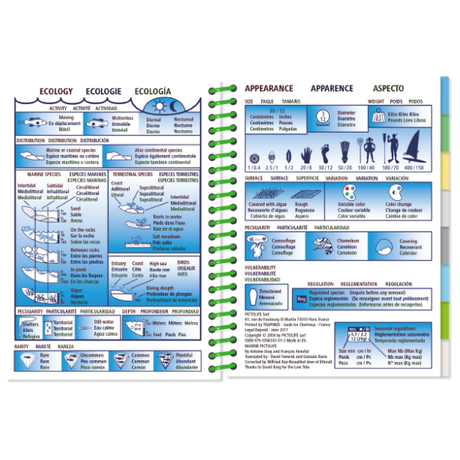 The *Pictolife Low-Tide Eastern Atlantic* by **Pictolife Marine Guides** serves as a crucial tool for tide pool detectives, offering ecological information and fish identification features. The left page provides ecology and distribution details, while the right page describes appearance, size, and vulnerability with vibrant diagrams and icons.