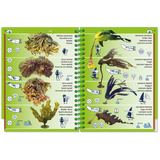 Featuring illustrations of different seaweeds, the Pictolife Marine Guides' 'Pictolife Low-Tide Eastern Atlantic' is an open, waterproof guide perfect for the tide pool detective. Each seaweed type is labeled with names such as 'Golden Kelp' and 'Laminaire hyperboréenne,' alongside their scientific names. The guide also includes small icons that provide information on habitat, size, and uses.